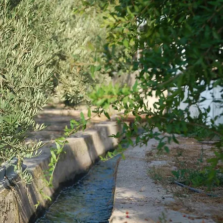 Cortijo Andaluz Dona Adela Venkovský dům